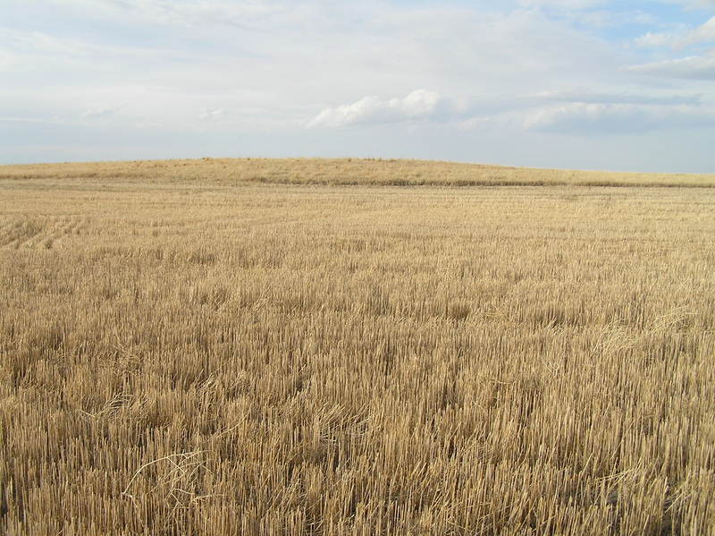 View to the north from the confluence point.