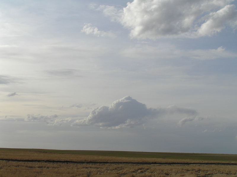 View to the west from the confluence point.