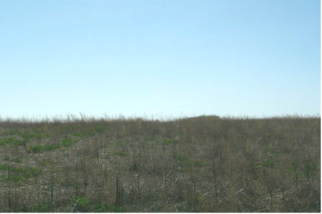 Looking West from the confluence