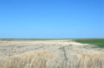 #1: Looking East from the confluence