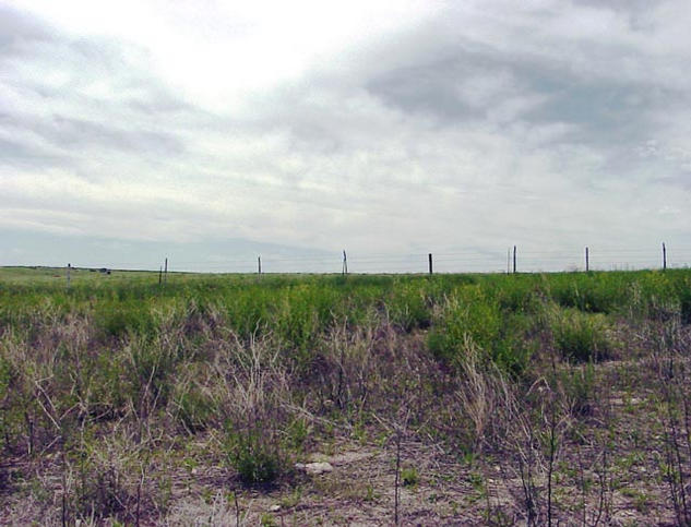 View looking south from the confluence