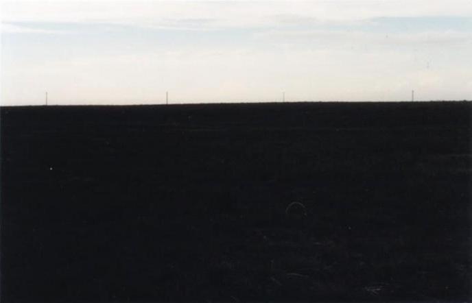 Looking North