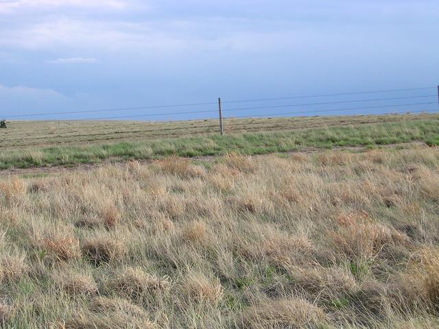 Looking south