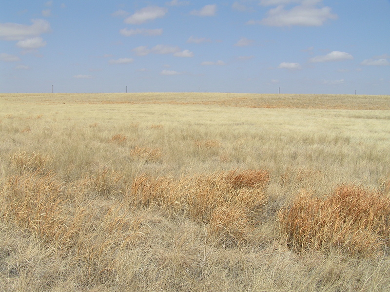 View to the north from the confluence point.