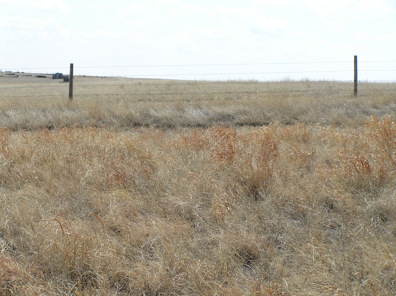 View to the south from the confluence point.