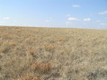 #6: View to the west from the confluence point.