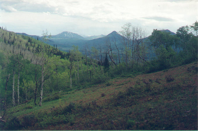 View to the southwest from the nearby clearing