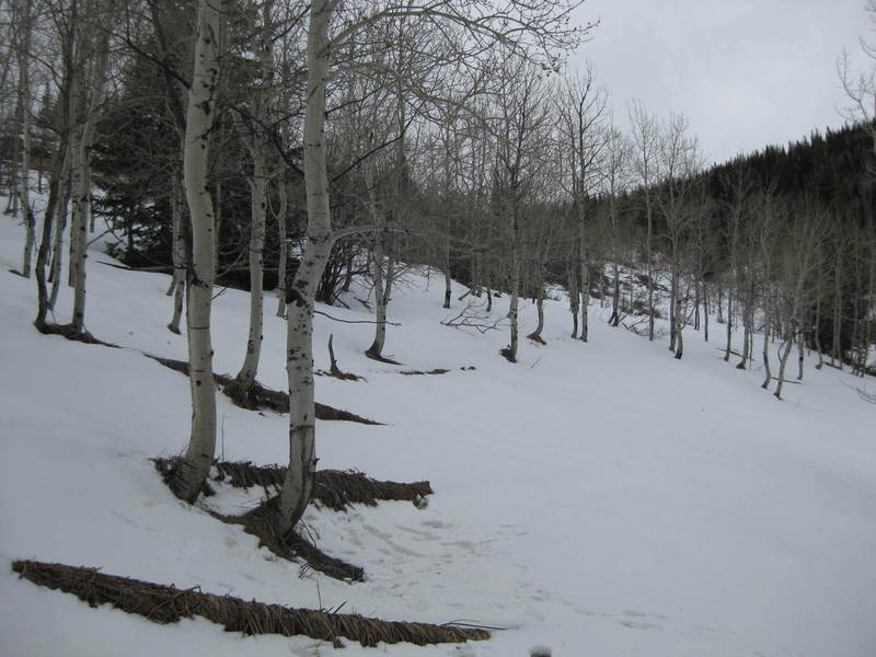 View of the confluence from the west