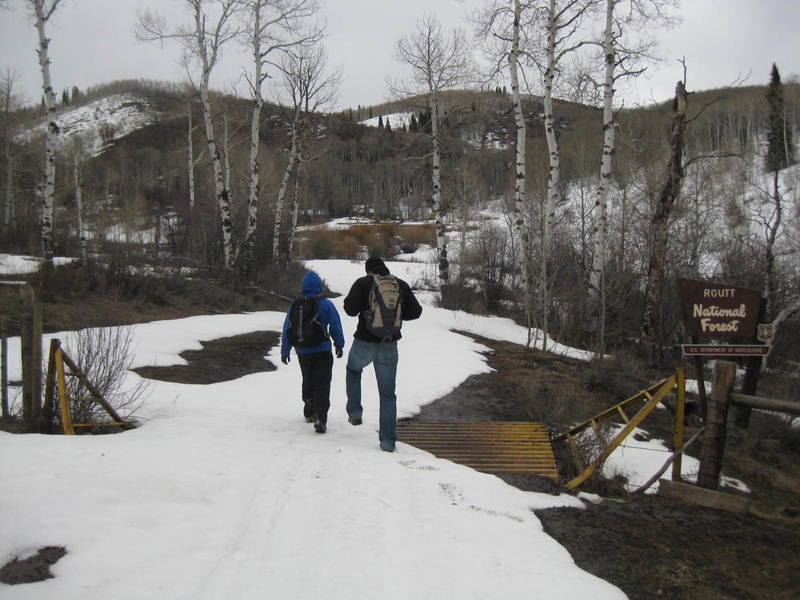 Entering Routt National Forest on FR508