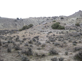 #1: View of the confluence looking northeast