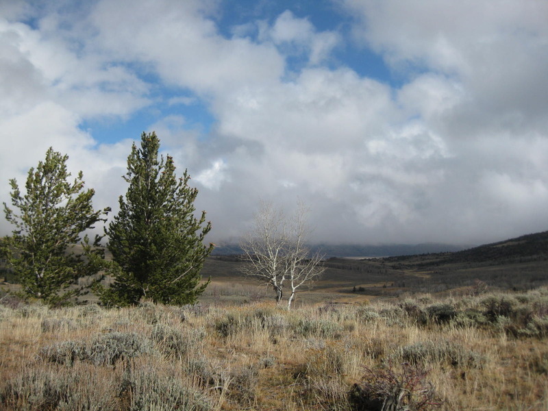 View of the confluence looking northeast