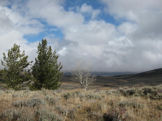 #1: View of the confluence looking northeast