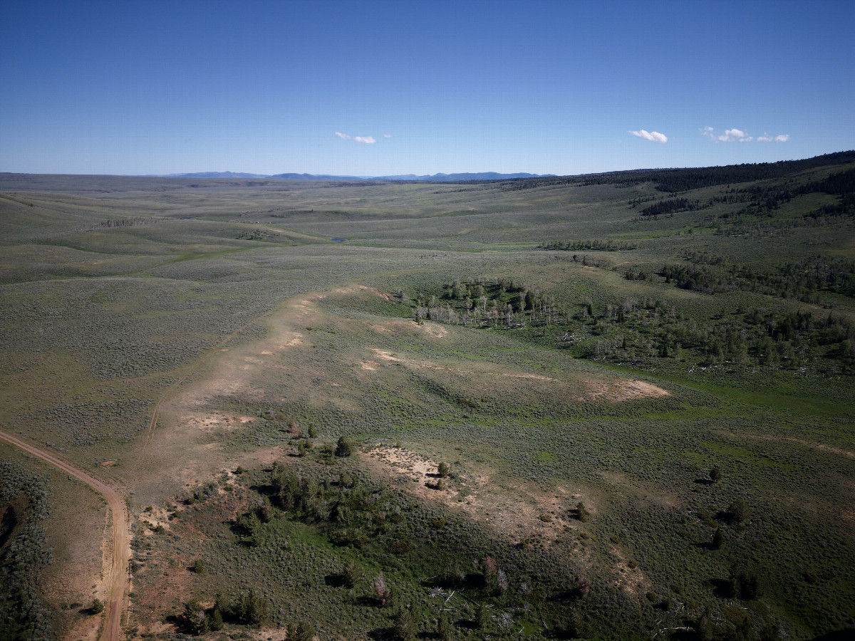 View South, from 120m above the point