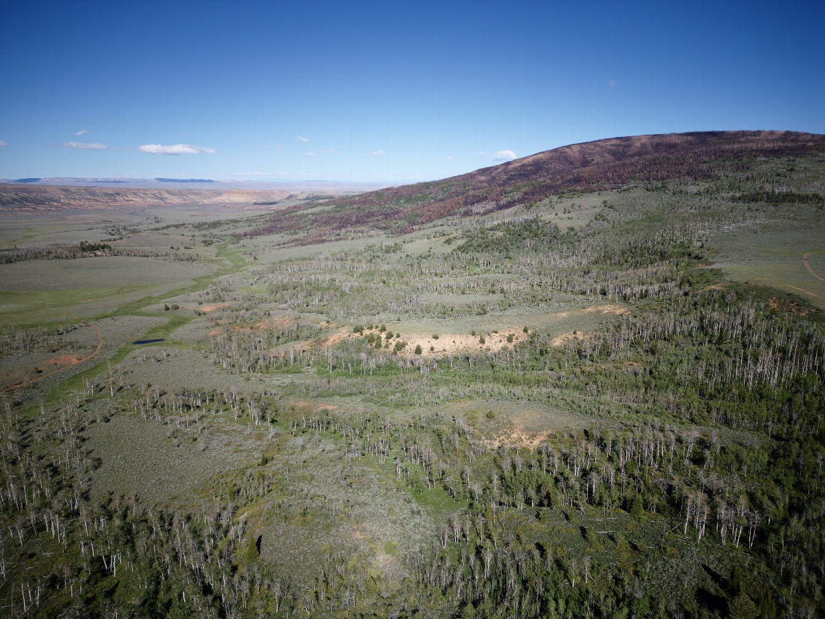 View East (along the Wyoming-Colorado state line), from 120m above the point
