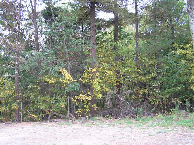 View to the south from the confluence.