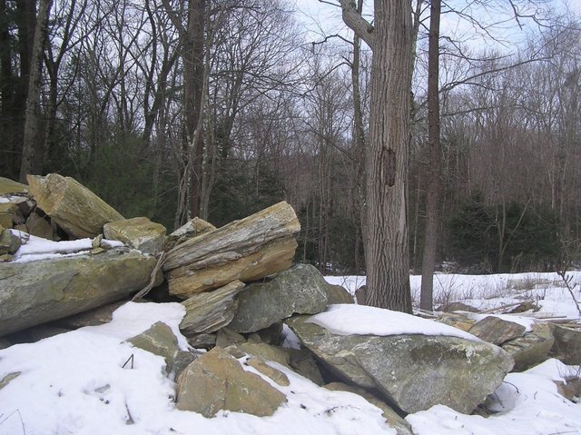 View West from confluence