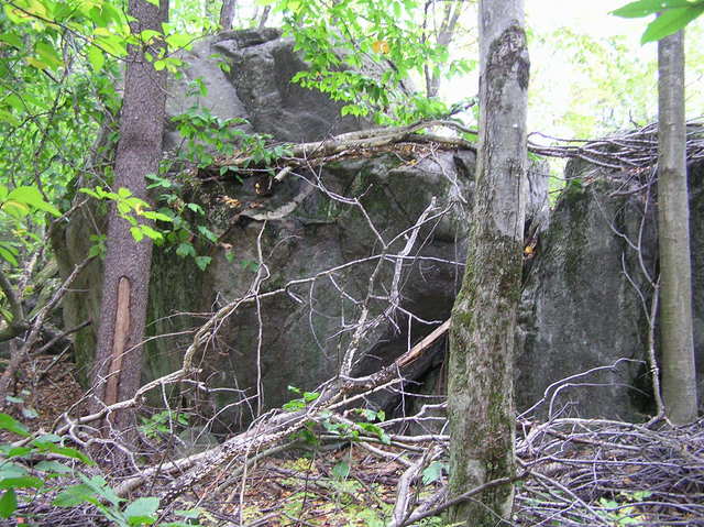 Glacial-deposited boulders about 30 meters north of the confluence.