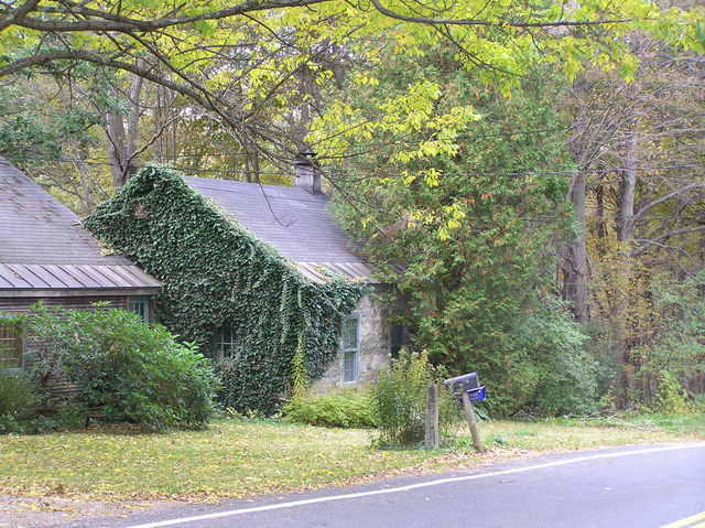 Nearest house, 800 meters west of the confluence.