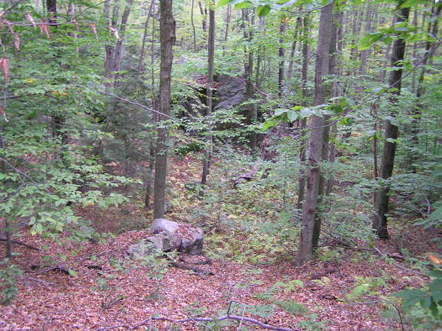 Looking east into the final gully before the confluence, 100 meters west.