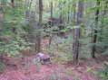 #9: Looking east into the final gully before the confluence, 100 meters west.