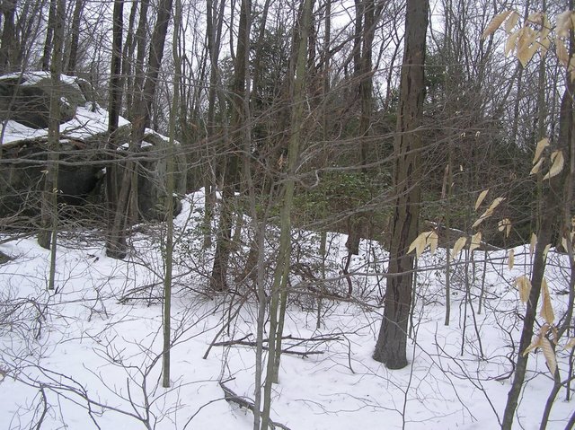 View North from confluence