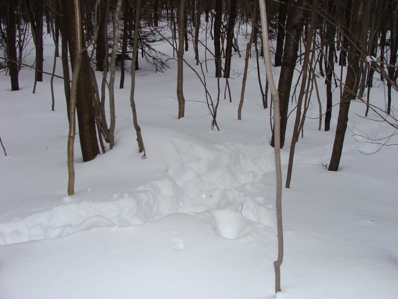 The GPS says this spot is most likely 42N 73W