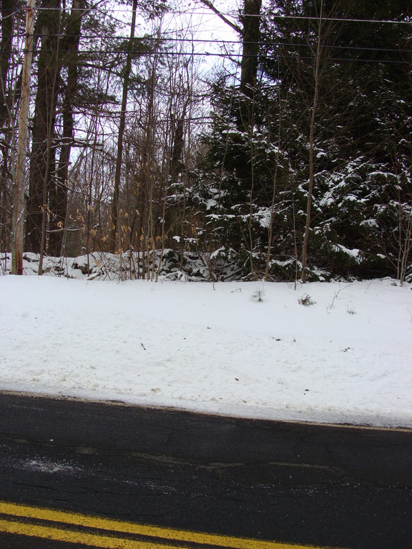 Looking over a low wal,l from Mill Street, east along the 42nd parallel