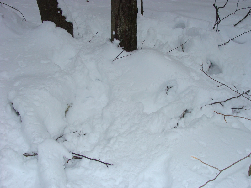 Fresh snow from the day before blankets 42N 73W