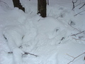 #8: Fresh snow from the day before blankets 42N 73W