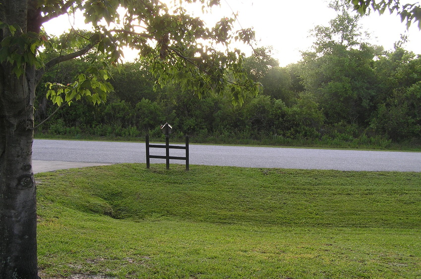 View to the east from the confluence.