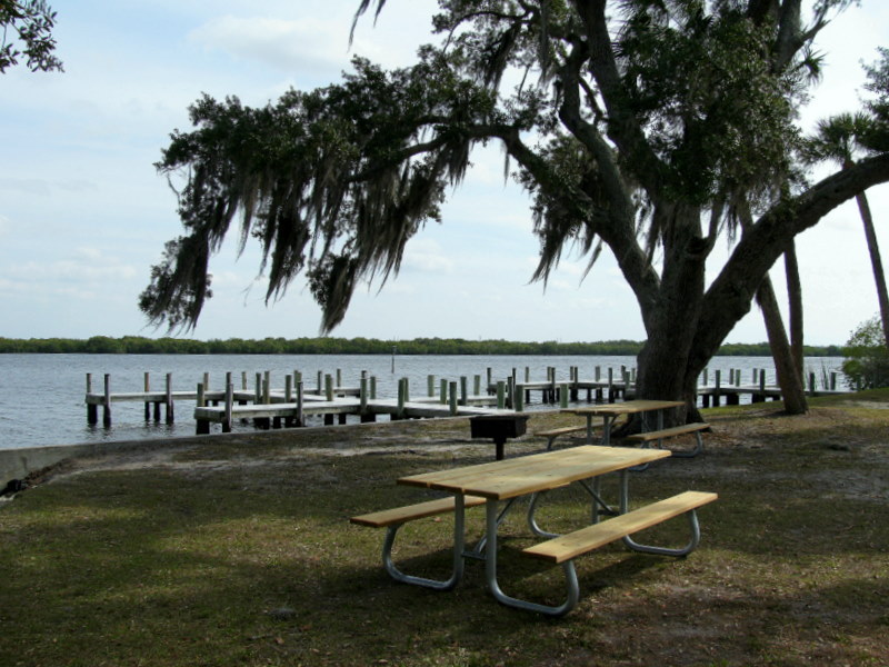 Spanish Moss blows in the breeze beside Widden Bay