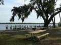 #8: Spanish Moss blows in the breeze beside Widden Bay