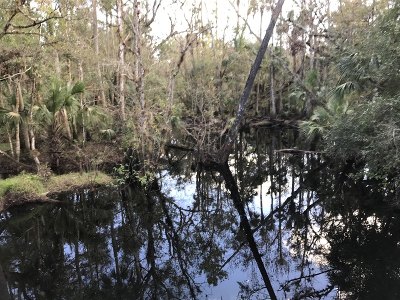 Some swamplands en route to the confluence, about 500 meters southeast of the point.