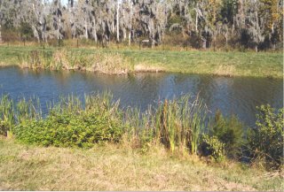 #1: A view of the confluence from over the site.