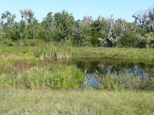 Confluence area