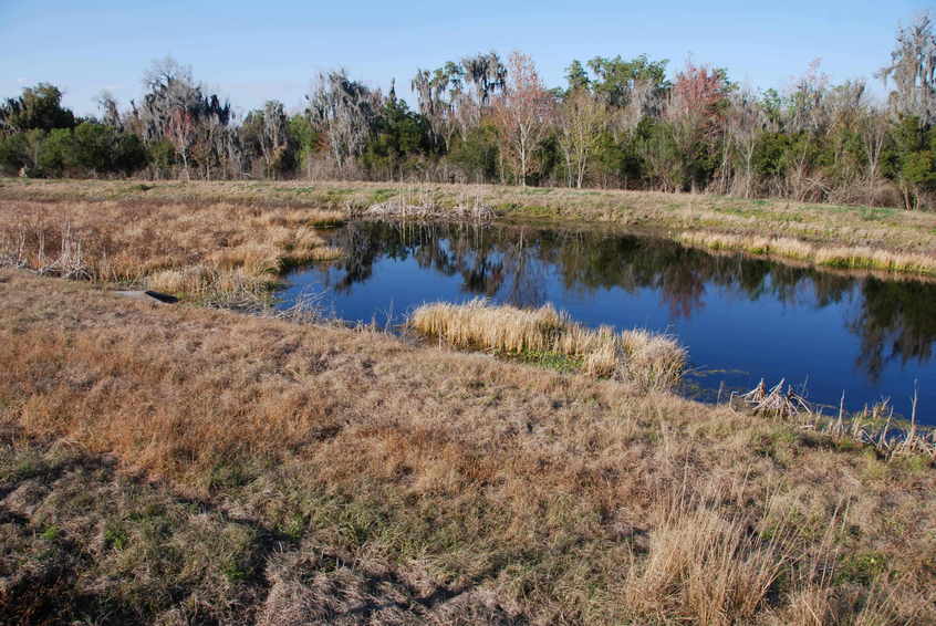 The Confleunce Point located at edge at far side of the pond