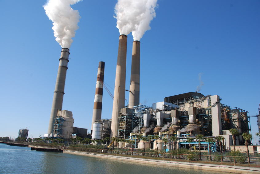 The power plant keeps manatees warm and happy