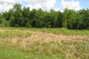 #1: The confluence of 28 North 82 West lies in the foreground in this view to the north.