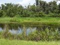 #2: Looking North through the fence.  Confluence lies in the pond.