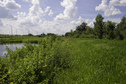 #4: West