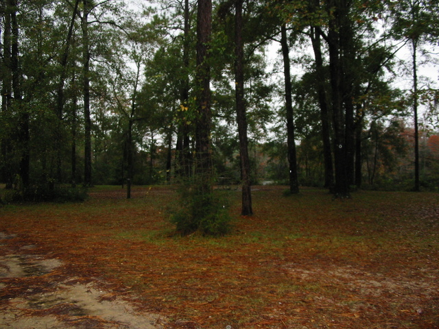 Looking North - Wright Lake is barely visible