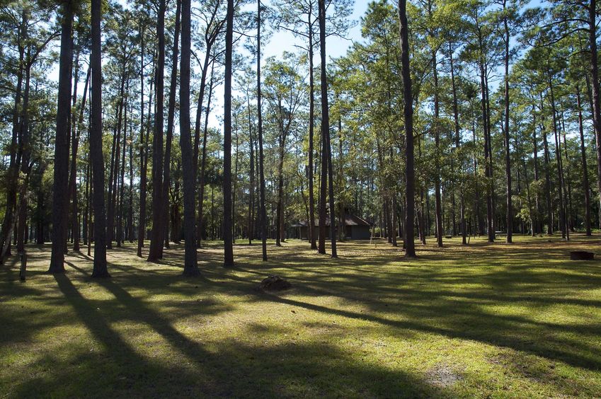 View West
