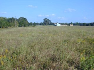 #1: Target looking east