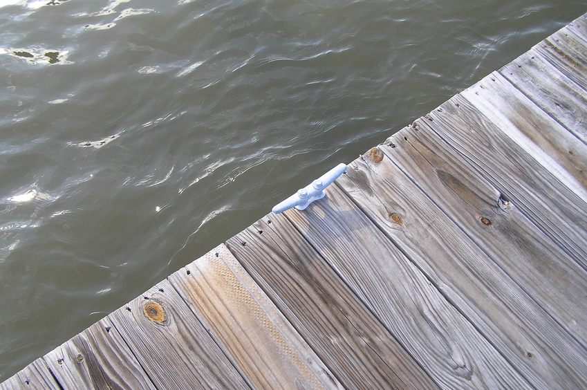 Ground cover at the confluence point.