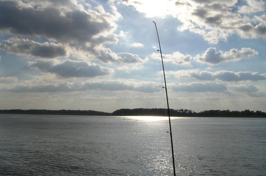 Fishing pole view to the west from the confluence point.