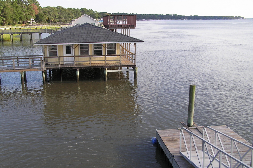 View to the south from the confluence point.