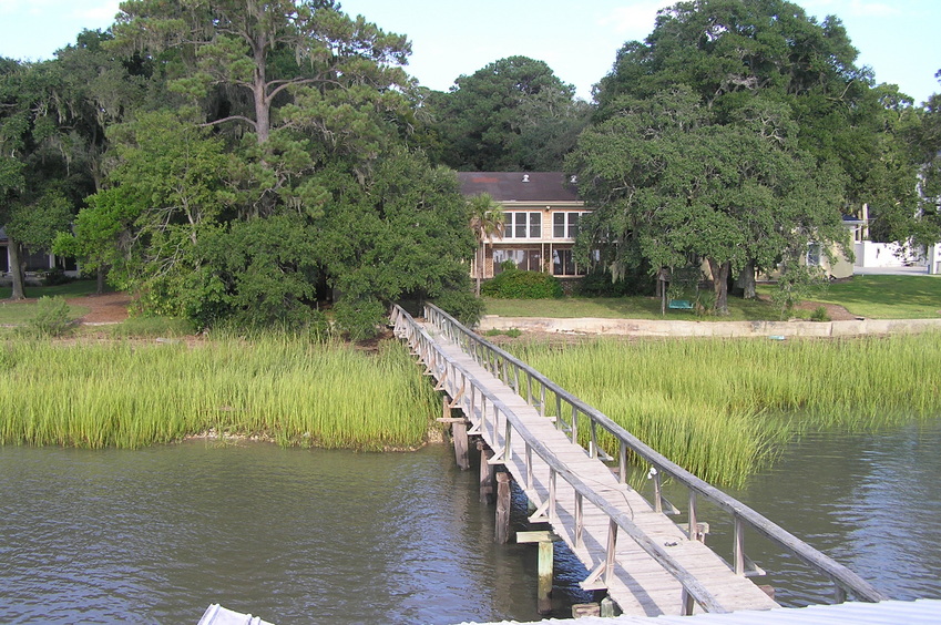View to the east from the confluence point.