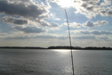 #5: Fishing pole view to the west from the confluence point.