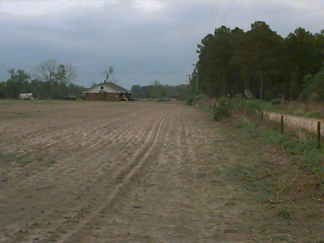 Looking East from the Confluence