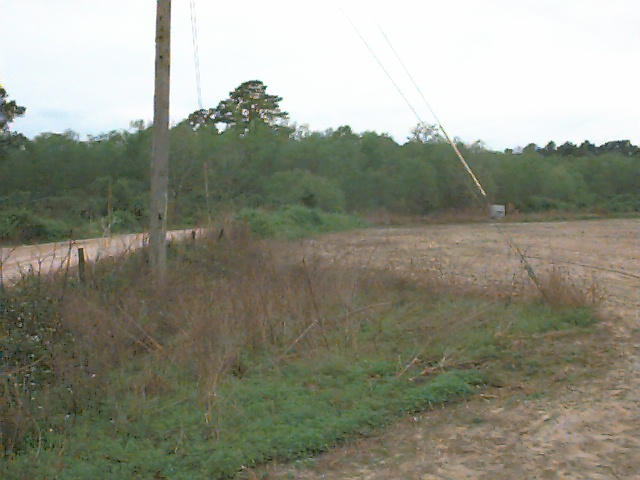 Looking West from the Confluence